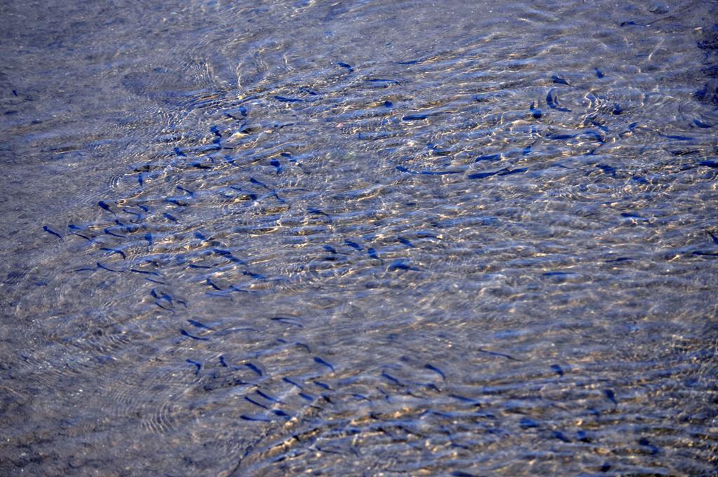 Moinhos Das Mares Fuseta Buitenkant foto
