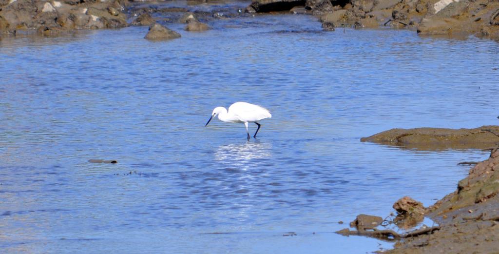 Moinhos Das Mares Fuseta Buitenkant foto