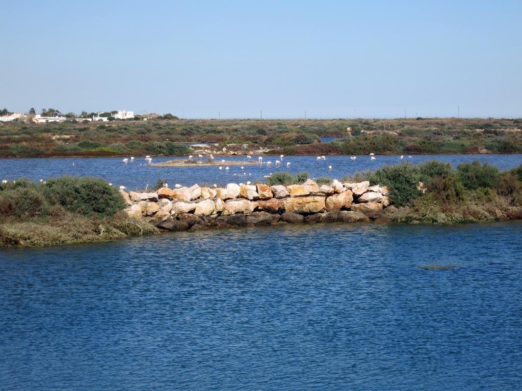 Moinhos Das Mares Fuseta Buitenkant foto